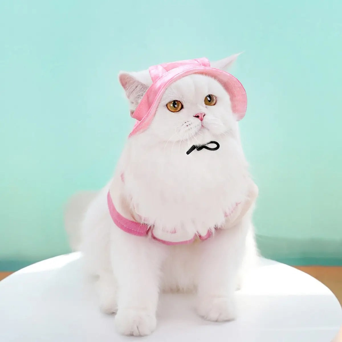 Adjustable Pet Sun Hat with Ear Holes_CWAH3707