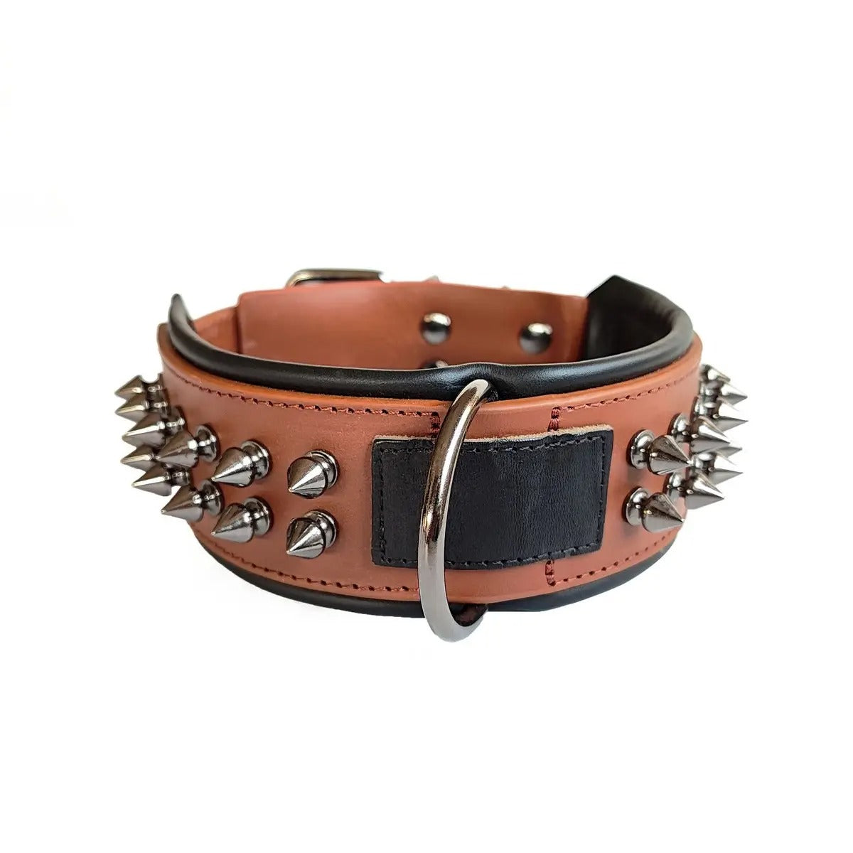 Leather Dog Collar with Studs, Padded_CWMM7688