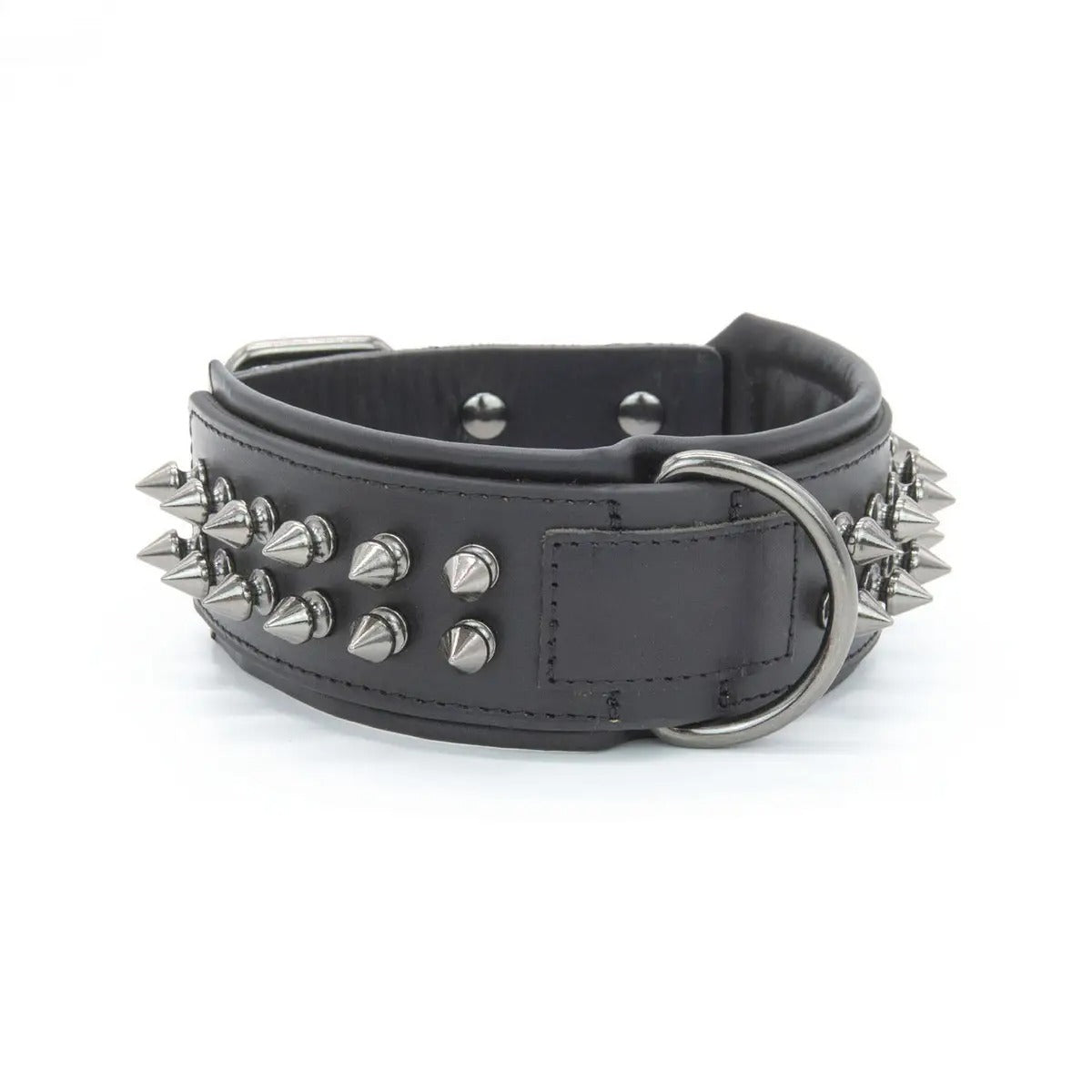 Leather Dog Collar with Studs, Padded_CWMM7688
