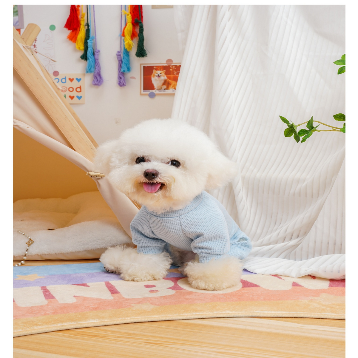 Cozy Waffle Pet Suit – Small Dog Four-Leg Wear_CWMM7349