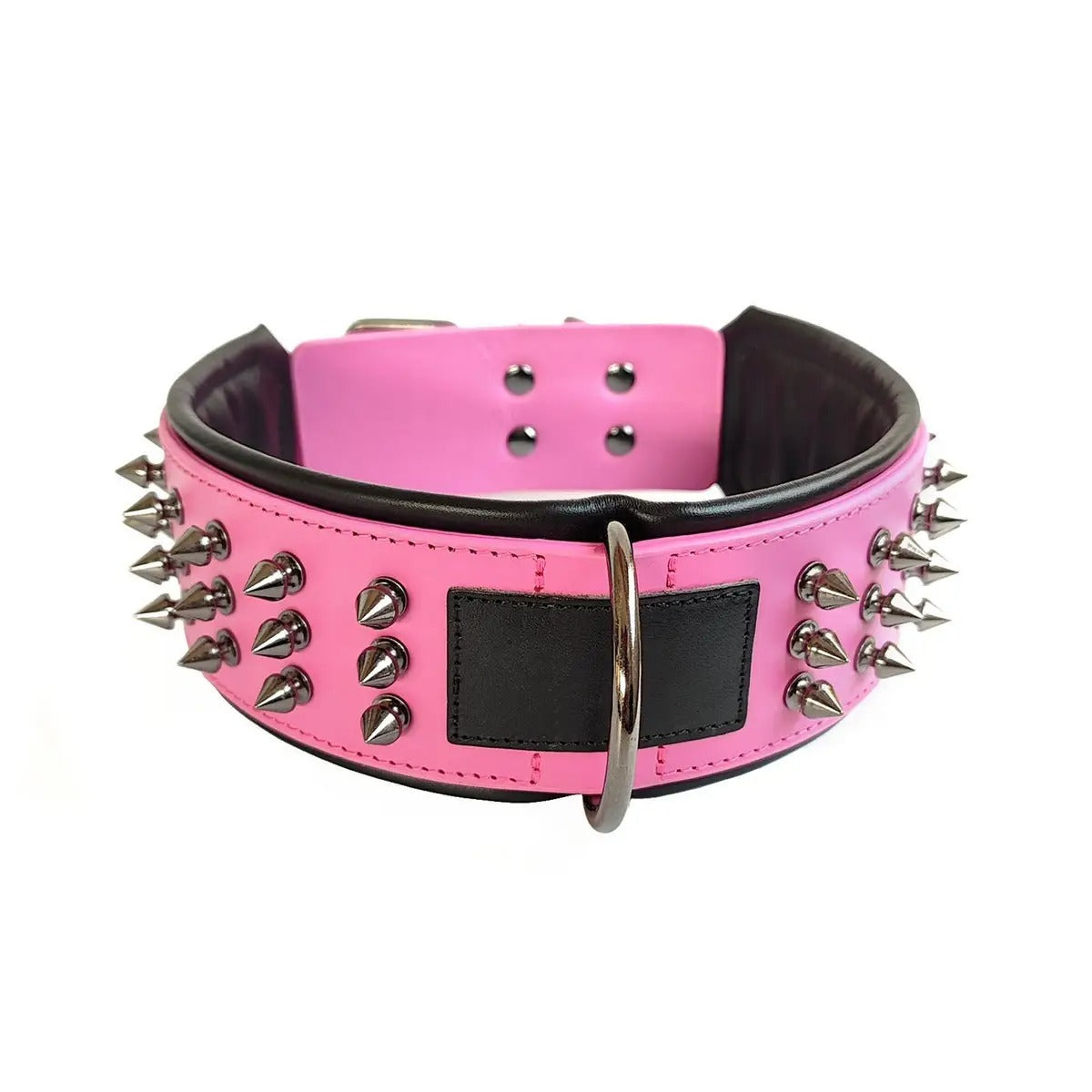 Leather Dog Collar with Studs, Padded_CWMM7688
