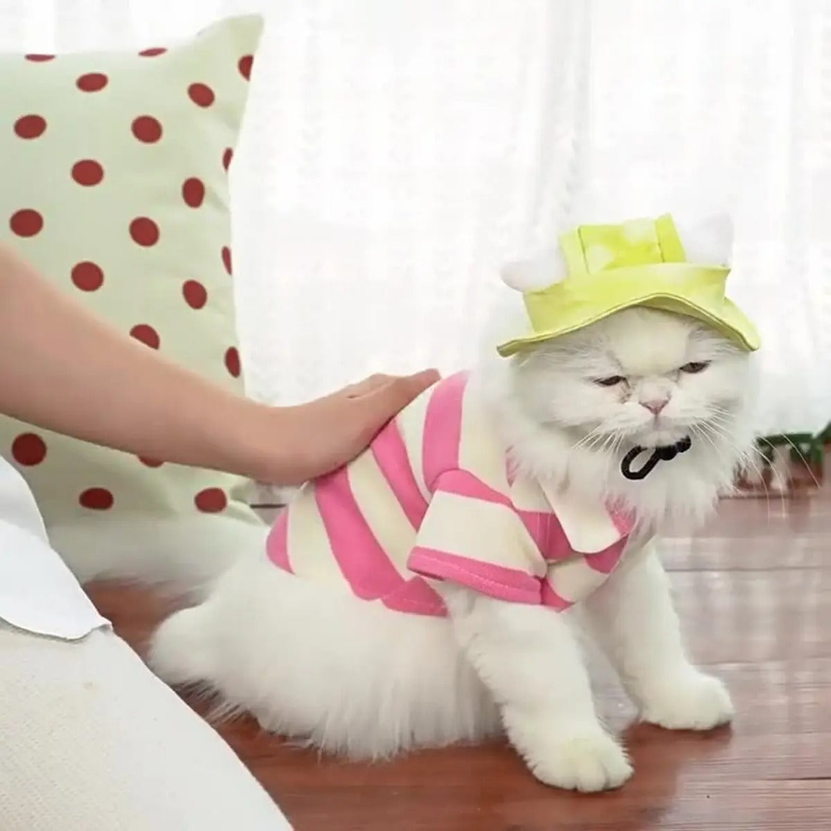 Adjustable Pet Sun Hat with Ear Holes_CWAH3707