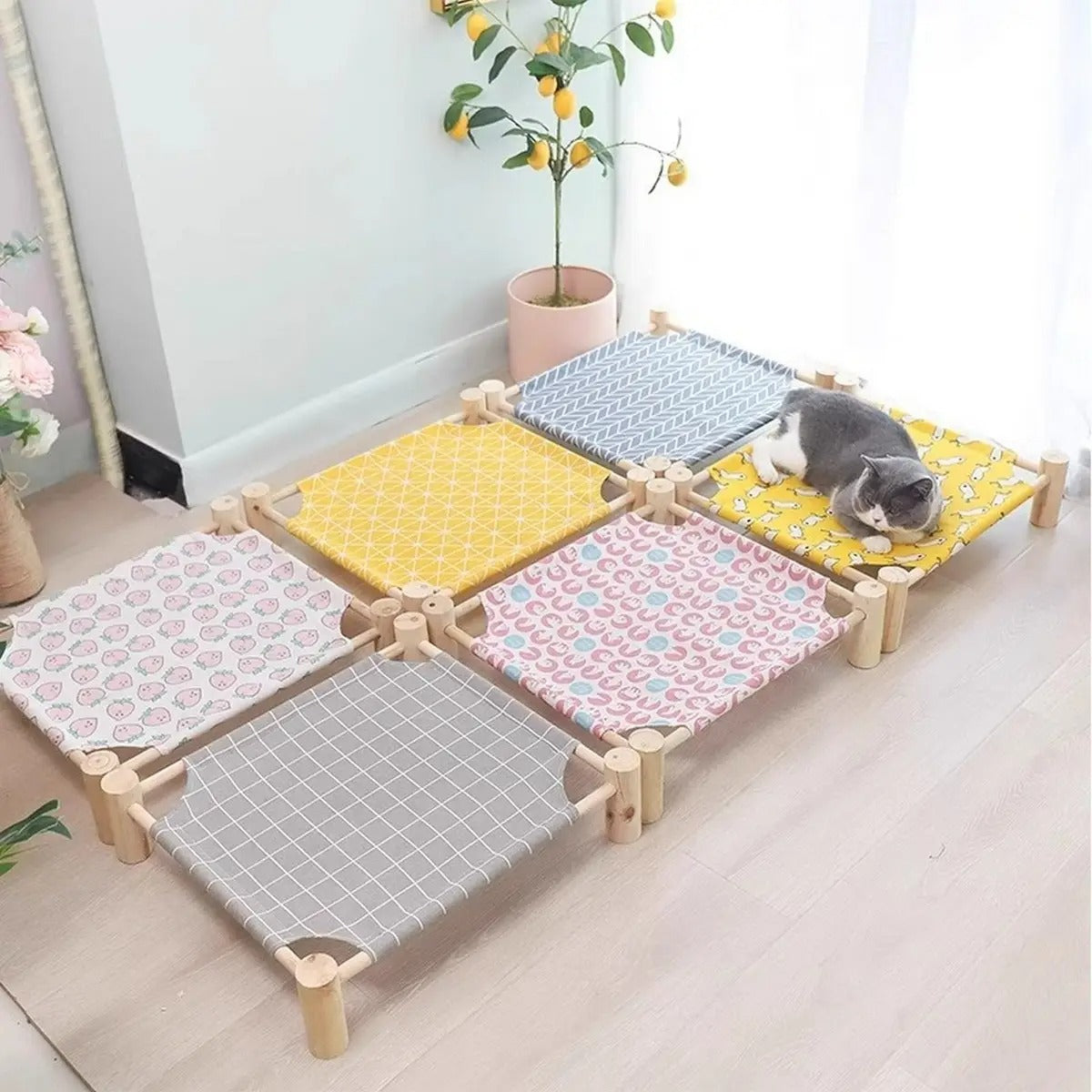 Elevated Pet Bed for Summer and All Seasons_CWMM6288