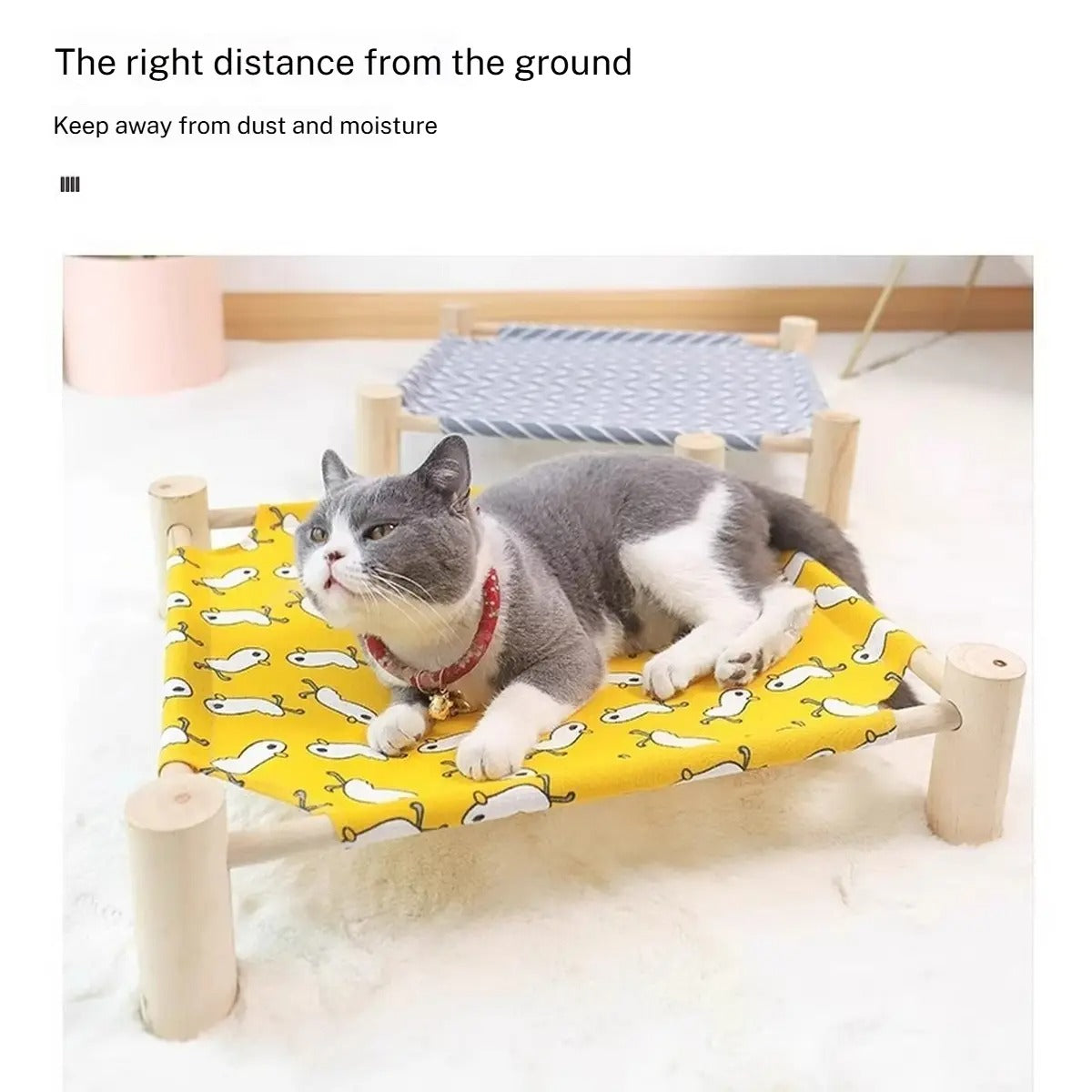 Elevated Pet Bed for Summer and All Seasons_CWMM6288