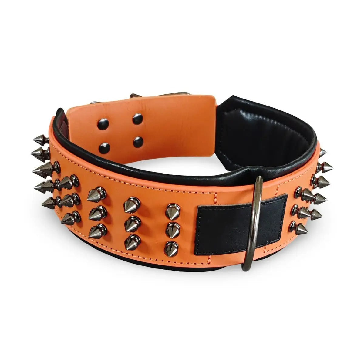 Leather Dog Collar with Studs, Padded_CWMM7688
