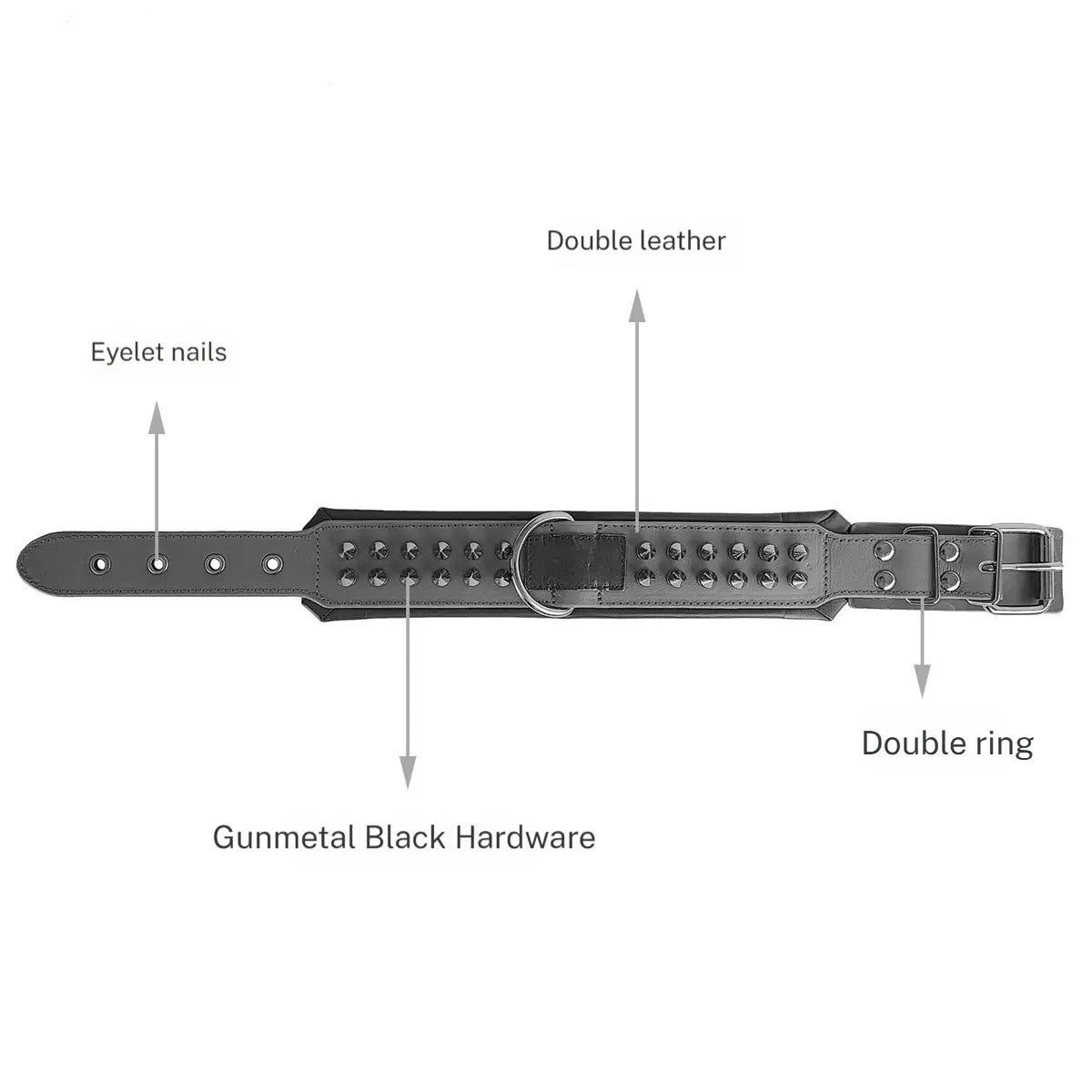 Leather Dog Collar with Studs, Padded_CWMM7688