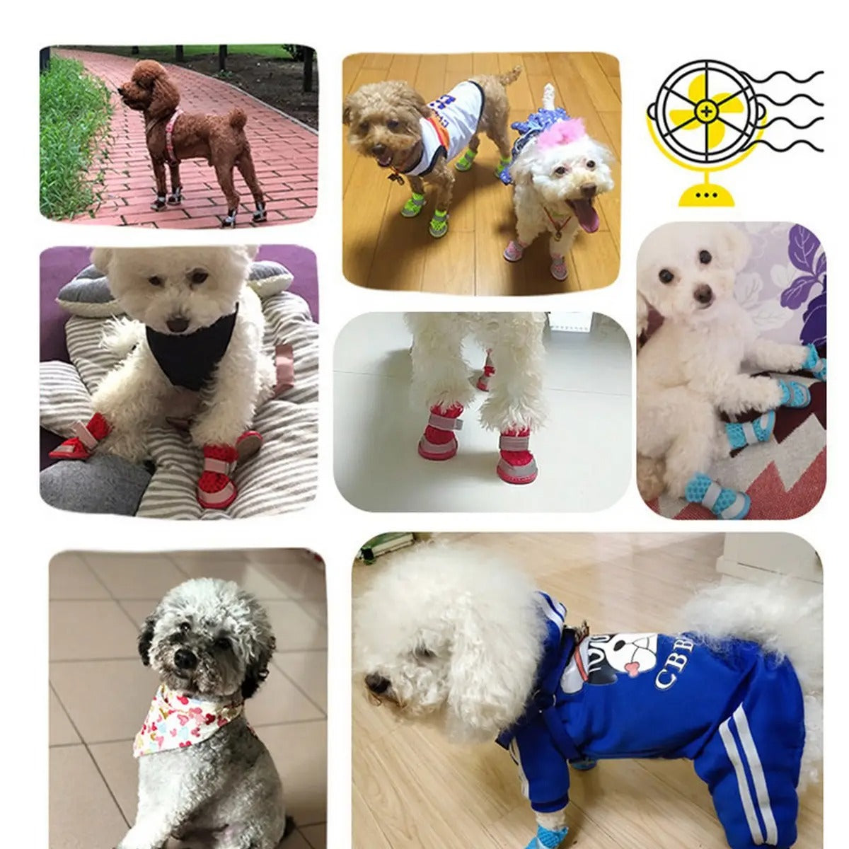 Breathable Mesh Dog Sandals – Summer Pet Shoes_CWMM7255