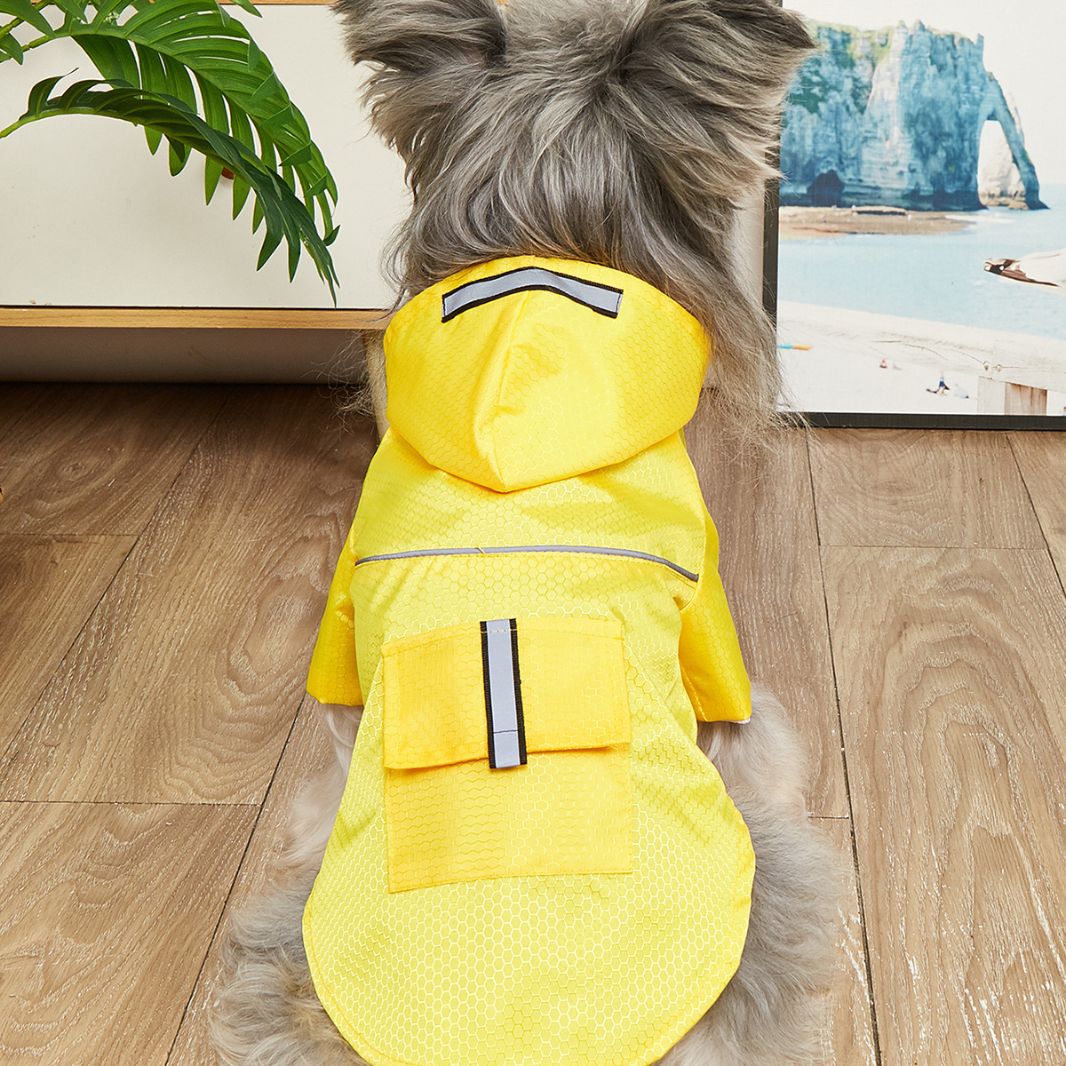 Dog Waterproof Raincoat with Reflective_CWMM7308