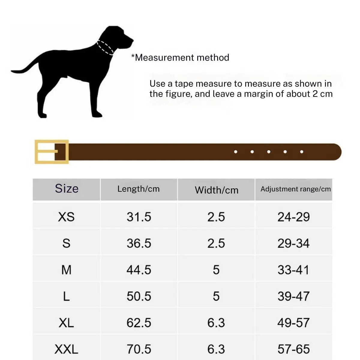 Leather Dog Collar with Studs, Padded_CWMM7688