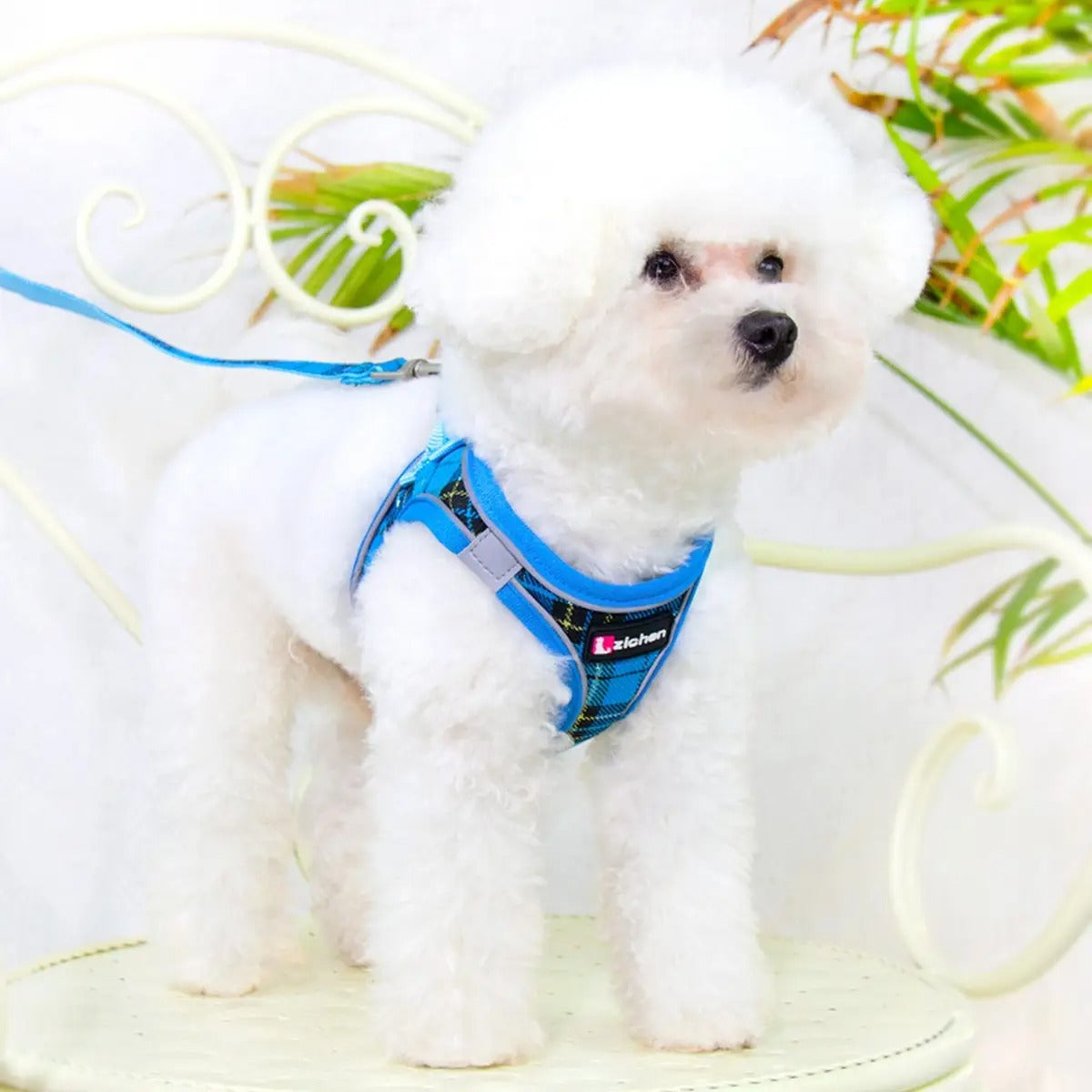 Breathable Dog Vest with Leash - Reflective_CWMM5960