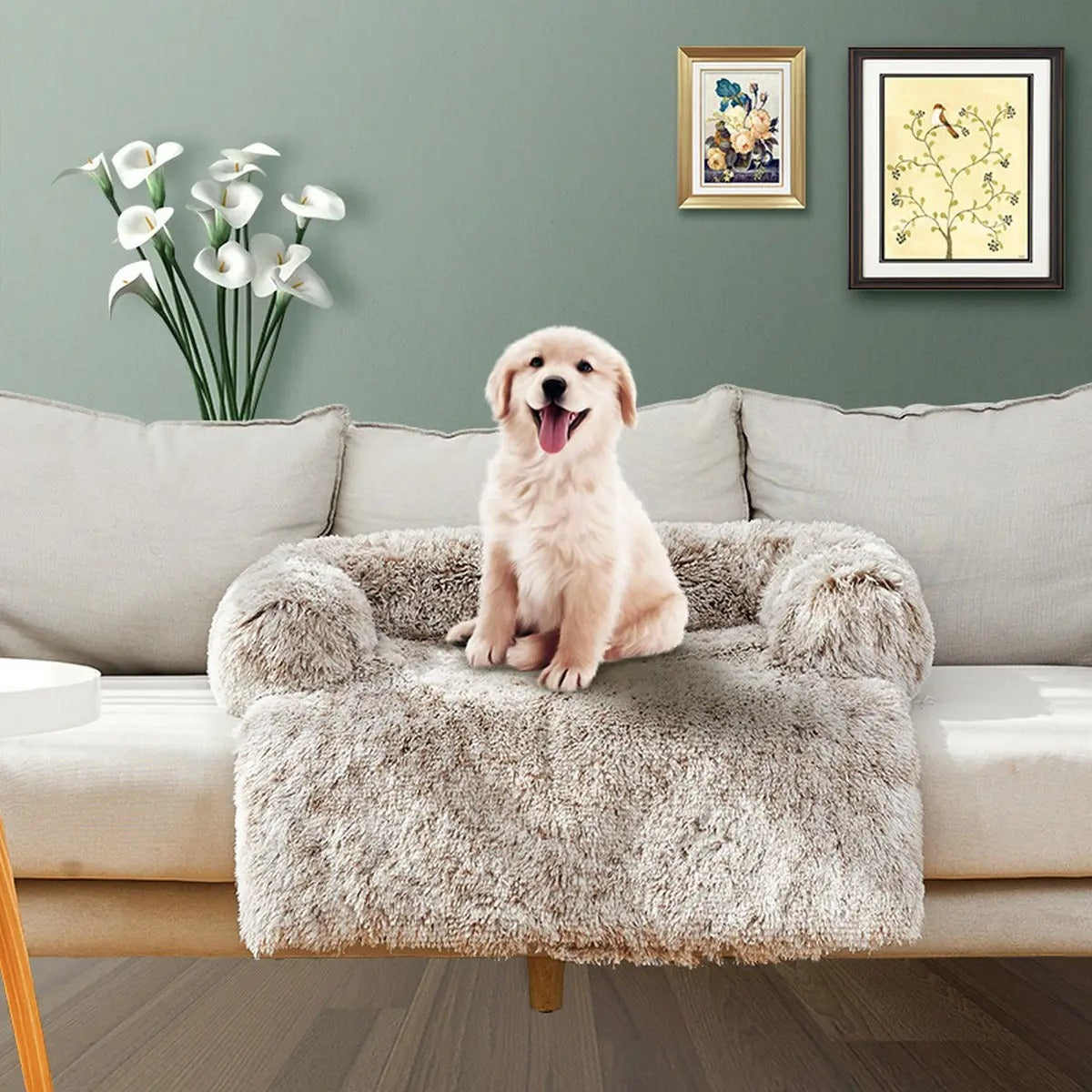 Angled Back Pet Cushion – Removable Liner_CWMM5325