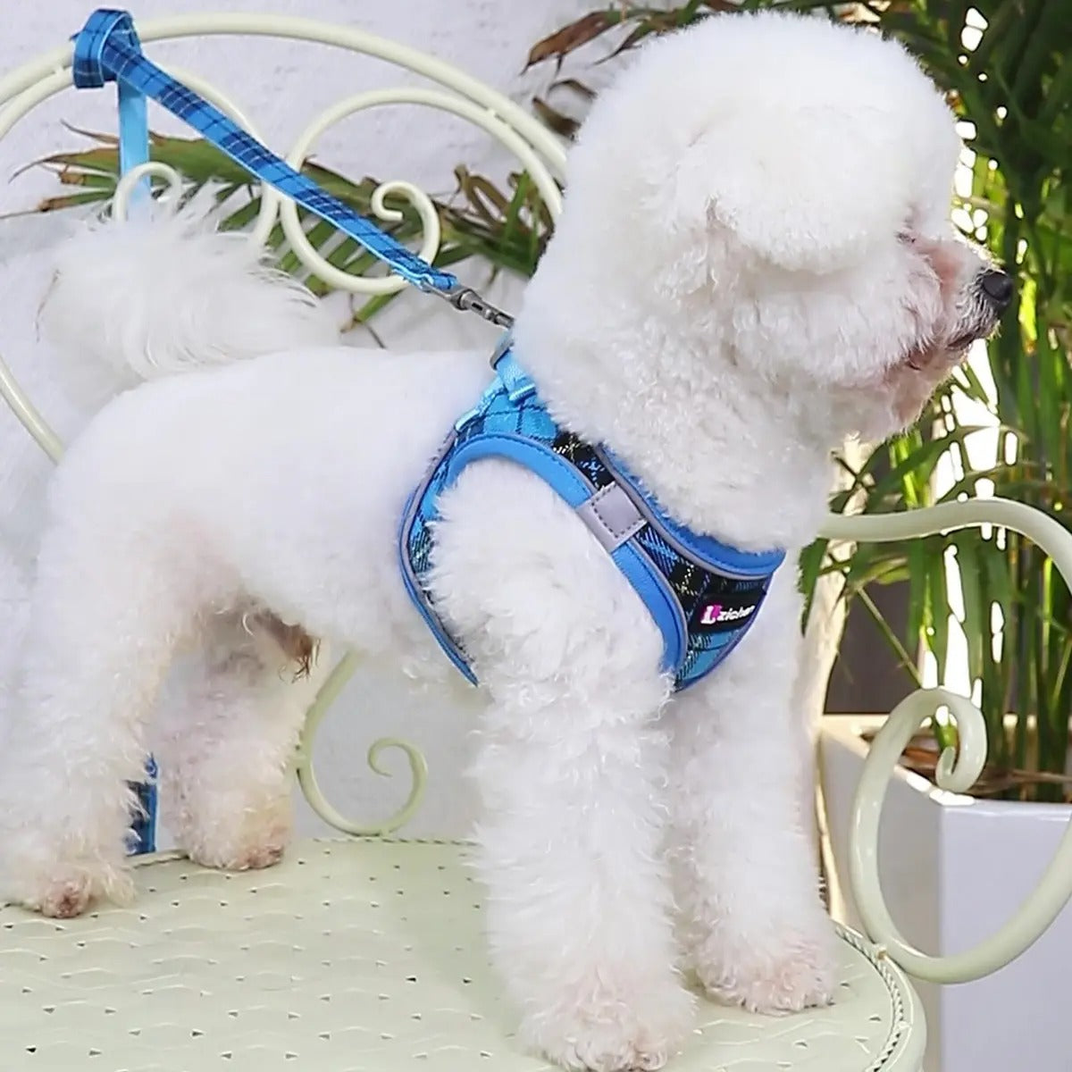 Breathable Dog Vest with Leash - Reflective_CWMM5960