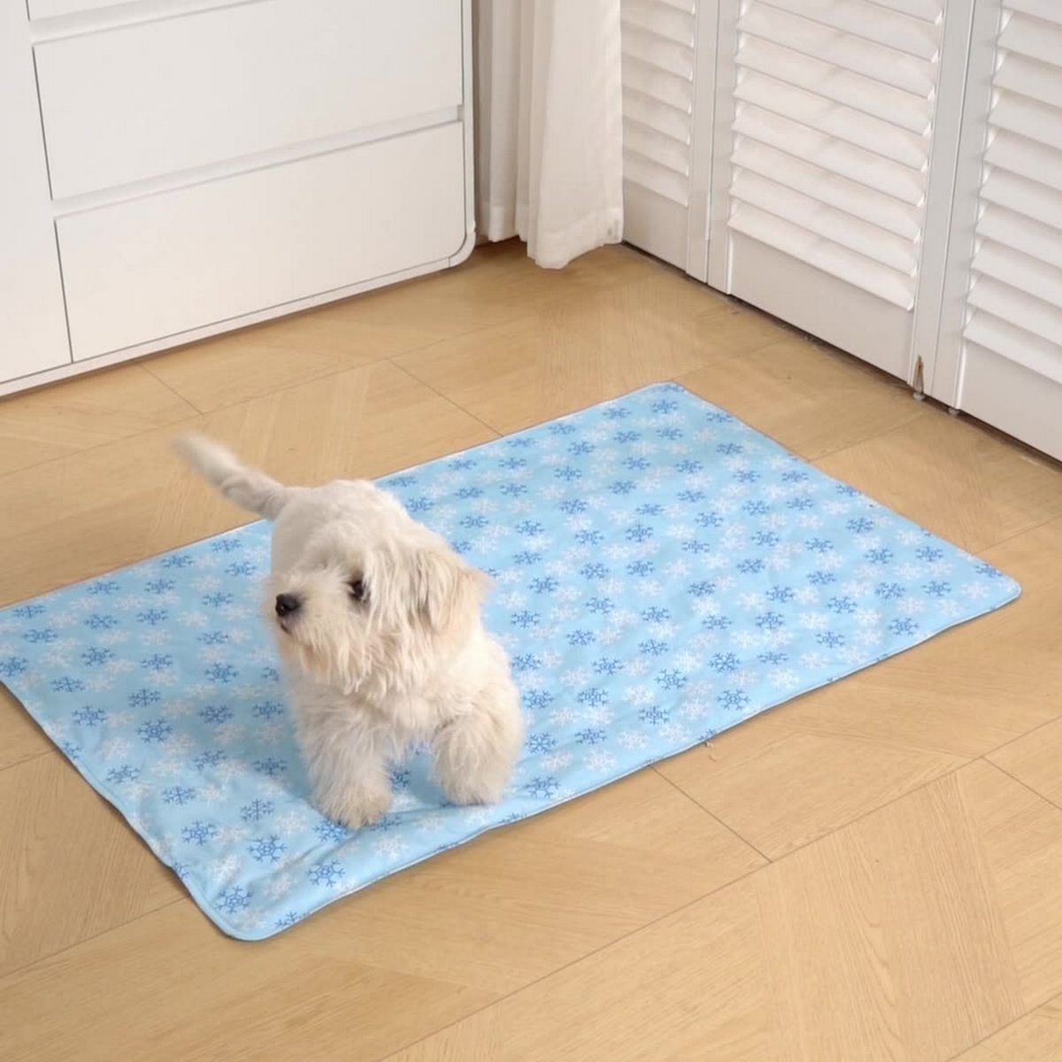 Ice Silk Pet Cooling Cushion for Dogs & Cats_CWMM7844