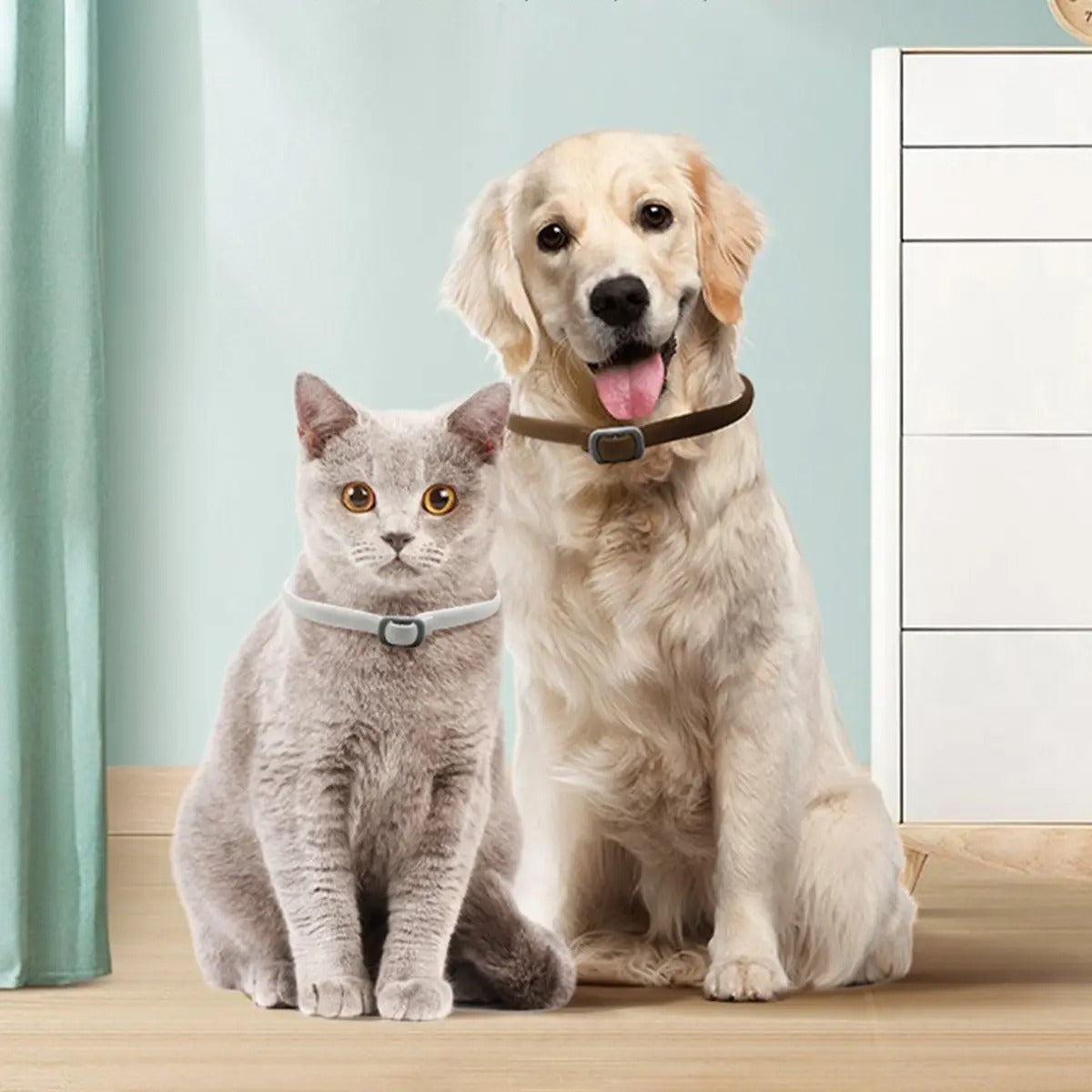 Flea and Tick Prevention Collar for Dogs and Cats_CWMM6498