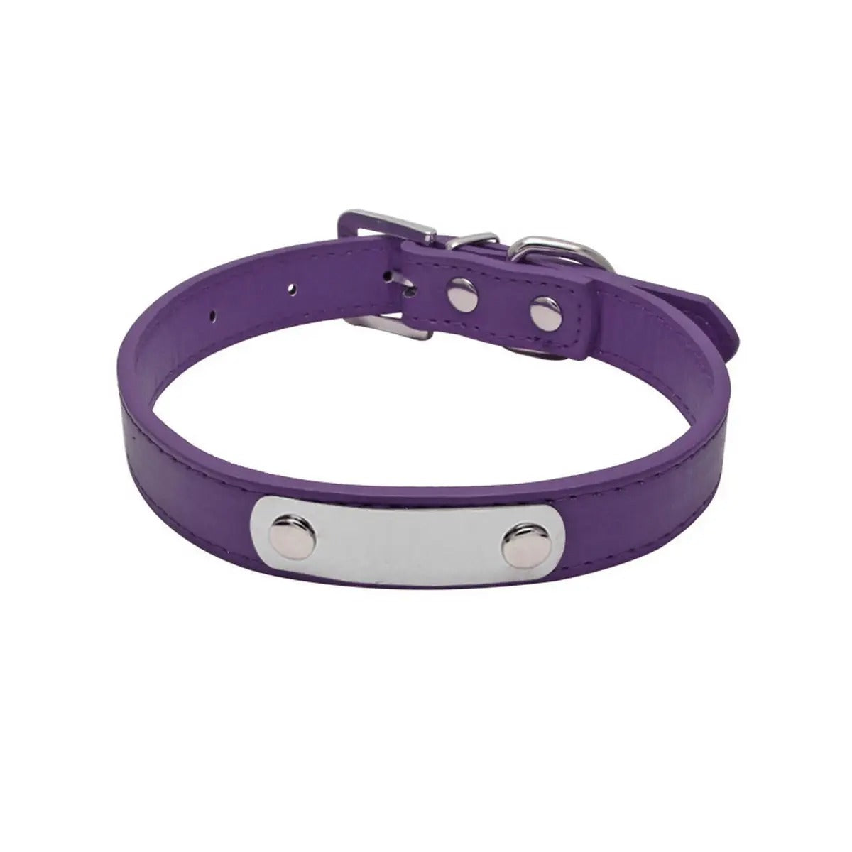 Laser Engraved PU Pet Collar for Dogs Cats_CWMM5983