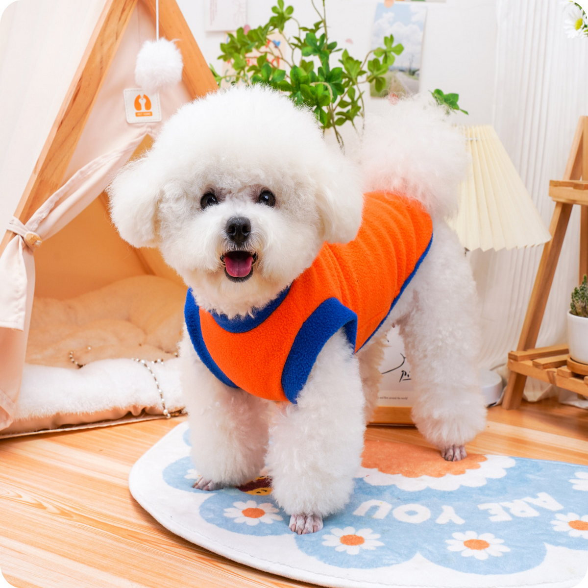 ColorBlock Pet Vest – Stylish Dog & Cat Wear_CWMM7335