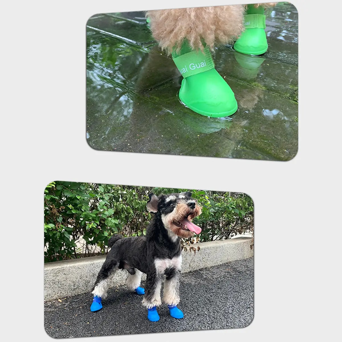 Anti-Slip Waterproof Dog Shoes – Soft Sole Booties_CWMM7955