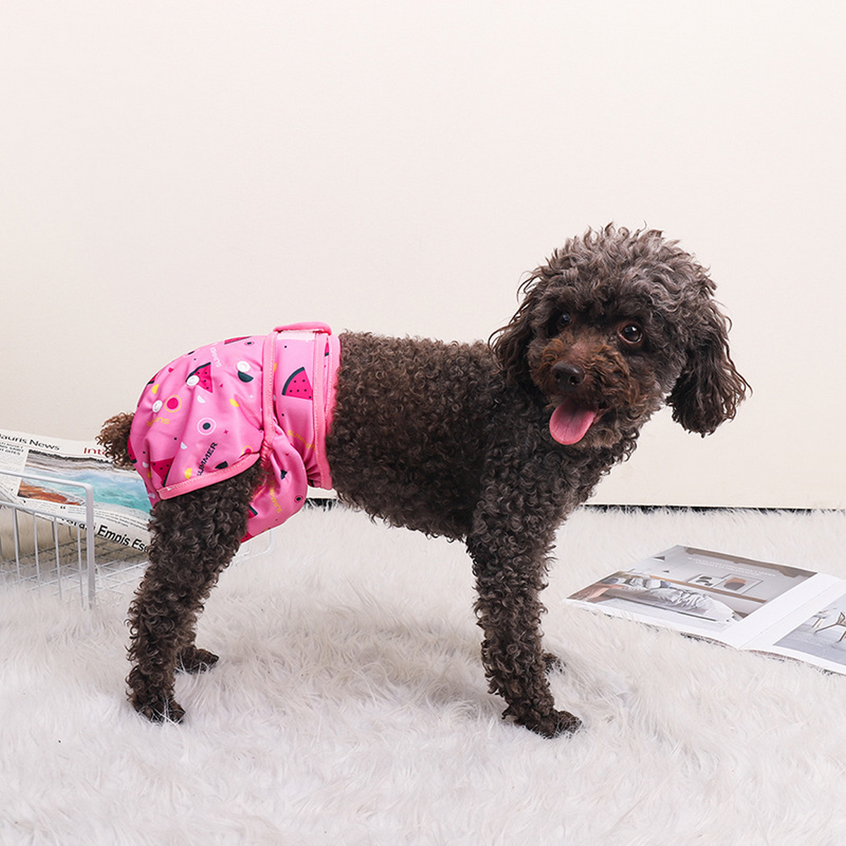 Dog Sanitary Pants – Indoor & Outdoor Diaper _CWMM7296