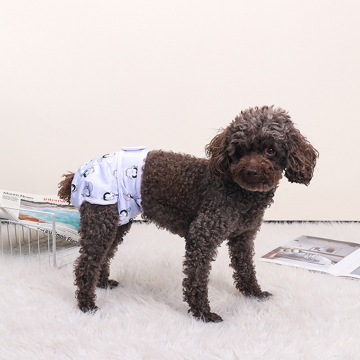 Dog Sanitary Pants – Indoor & Outdoor Diaper _CWMM7296