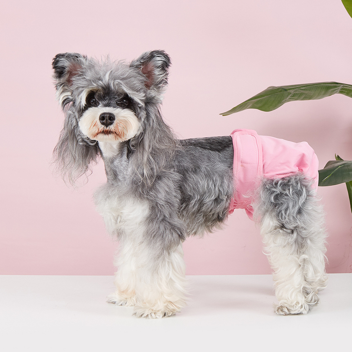 Dog Sanitary Pants – Solid Color, Anti-Mating_CWMM7307