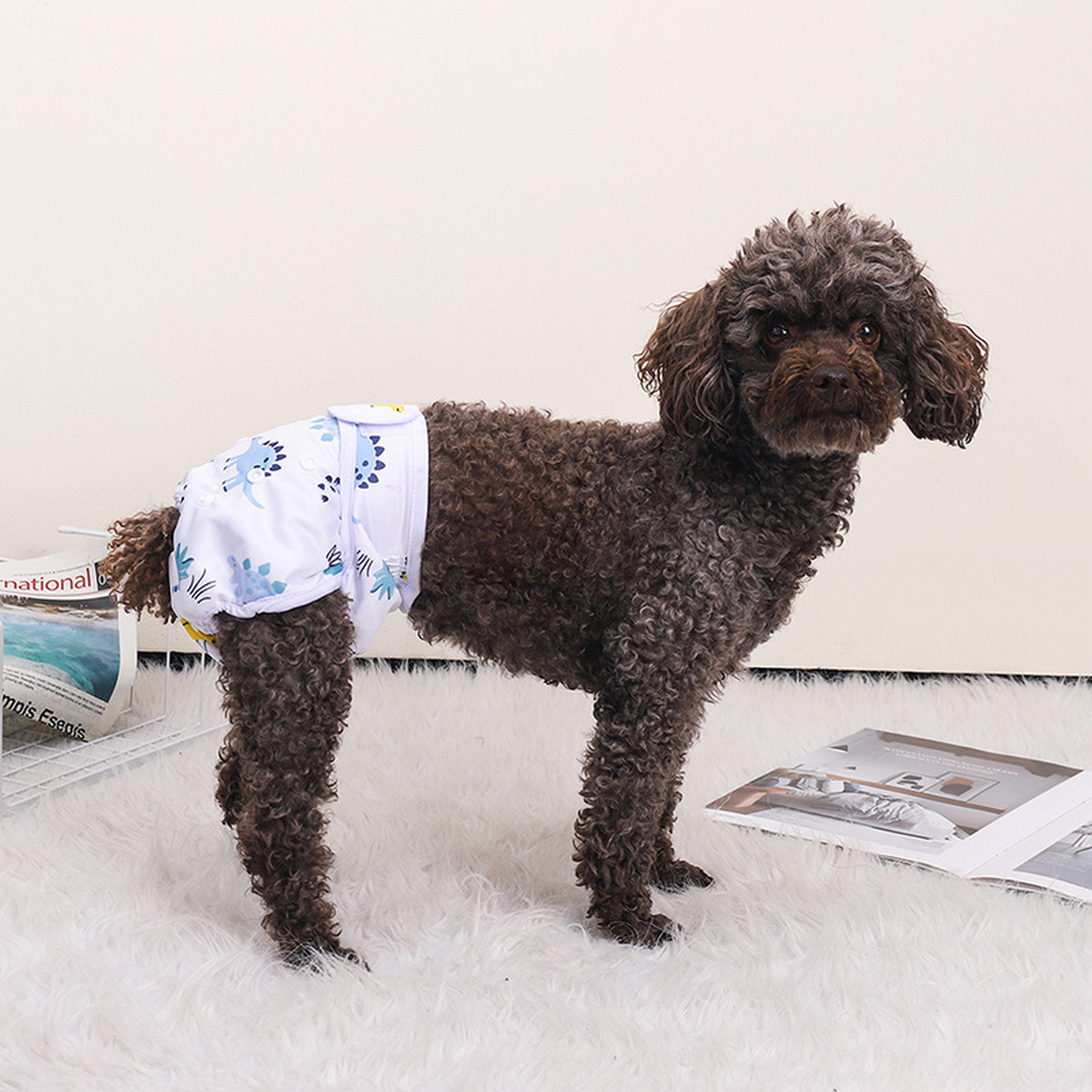 Dog Sanitary Pants – Indoor & Outdoor Diaper _CWMM7296
