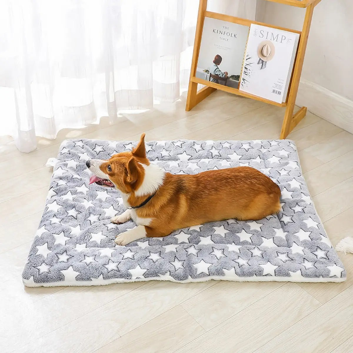 Double-Layer Plush Pet Blanket – Warm & Thick_CWMM5321