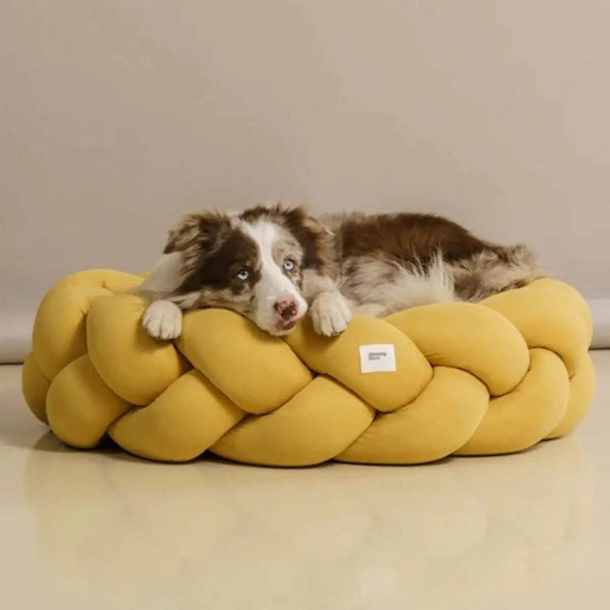 DIY Handcrafted Pet Bed, 6cm Plush Washable Design_CWMM6501