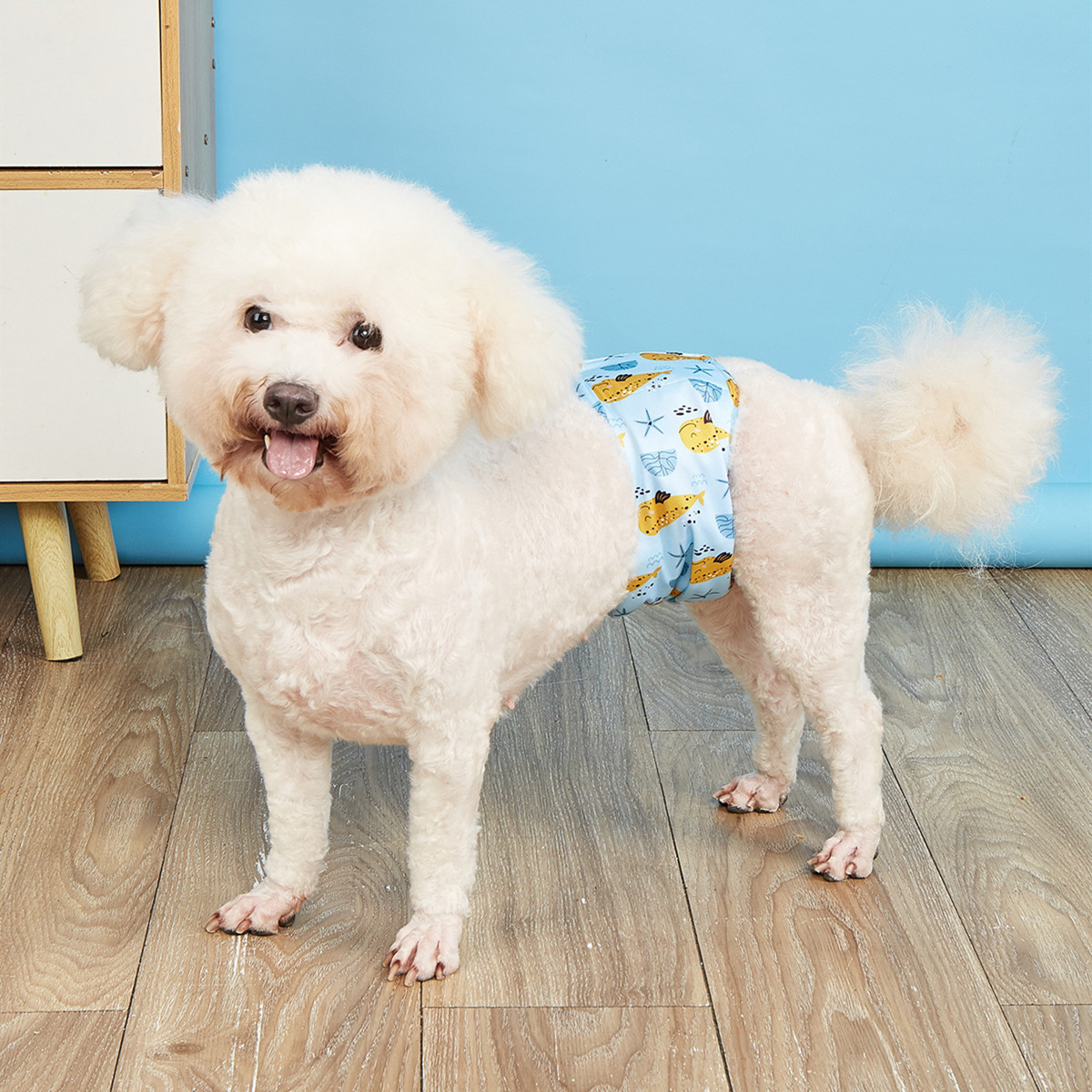 Male Dog Diaper Wrap – Reusable & Waterproof_CWMM7304
