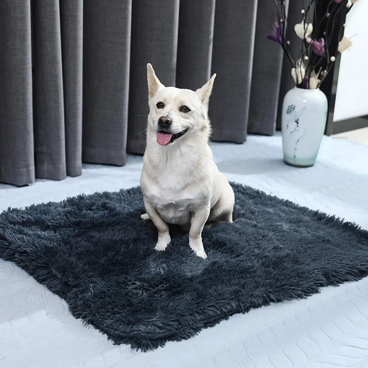 Lightweight Plush Pet Blanket for Summer_CWMM5322