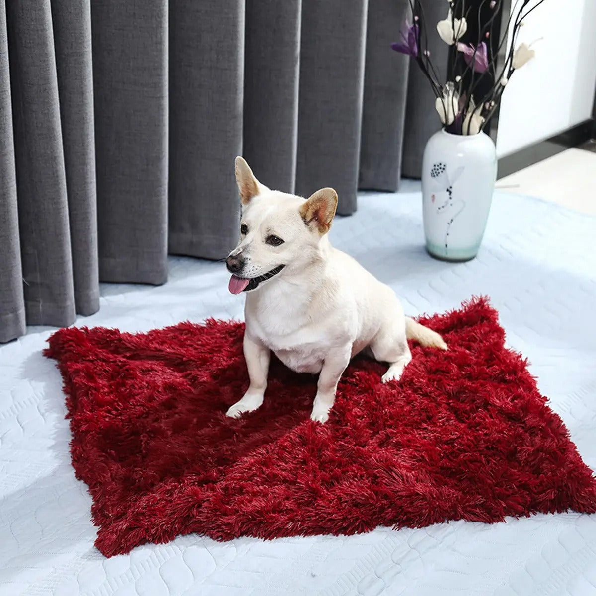 Lightweight Plush Pet Blanket for Summer_CWMM5322