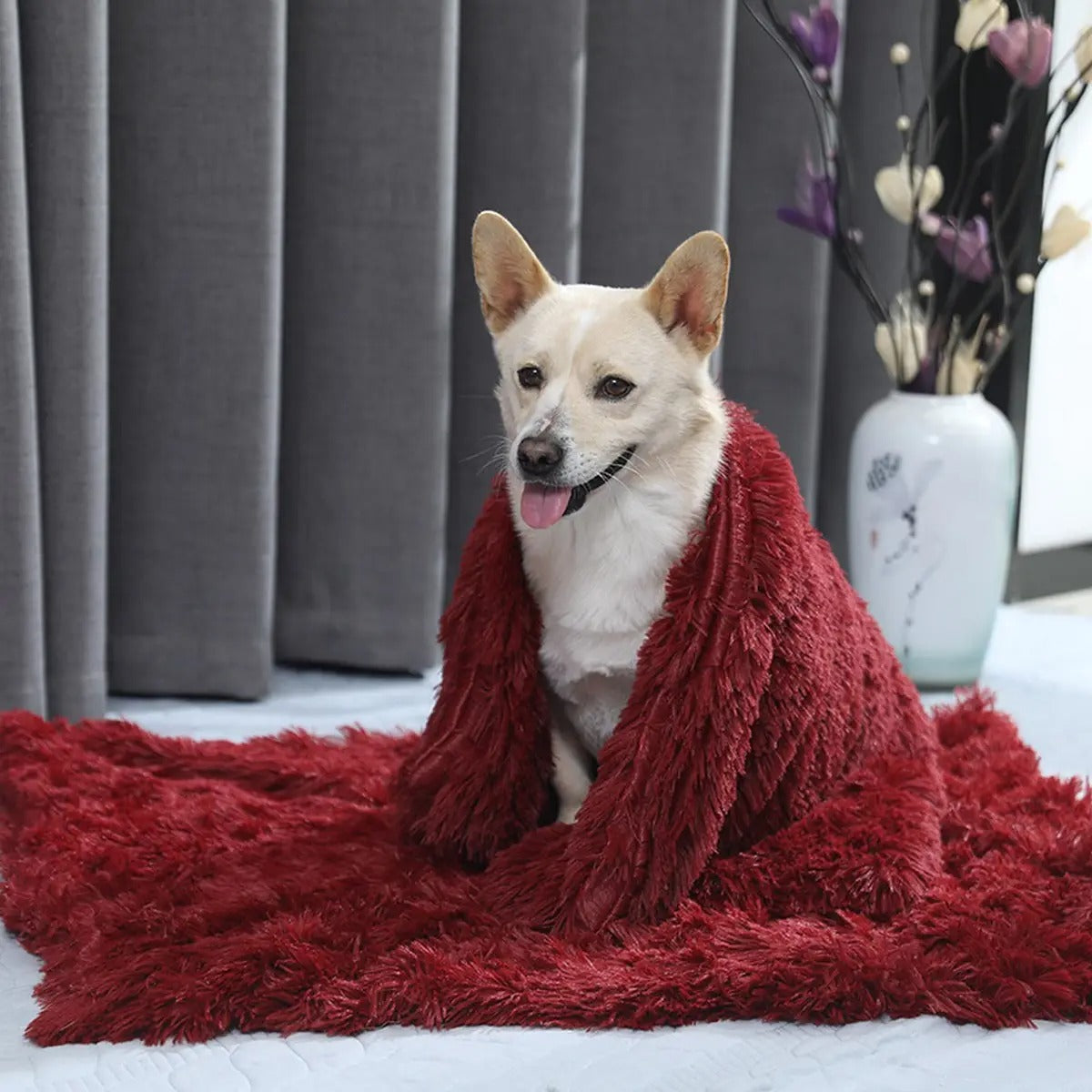 Lightweight Plush Pet Blanket for Summer_CWMM5322
