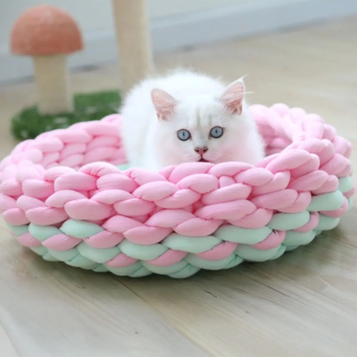 Chunky Handwoven Pet Bed, Machine Washable Cotton_CWMM6457
