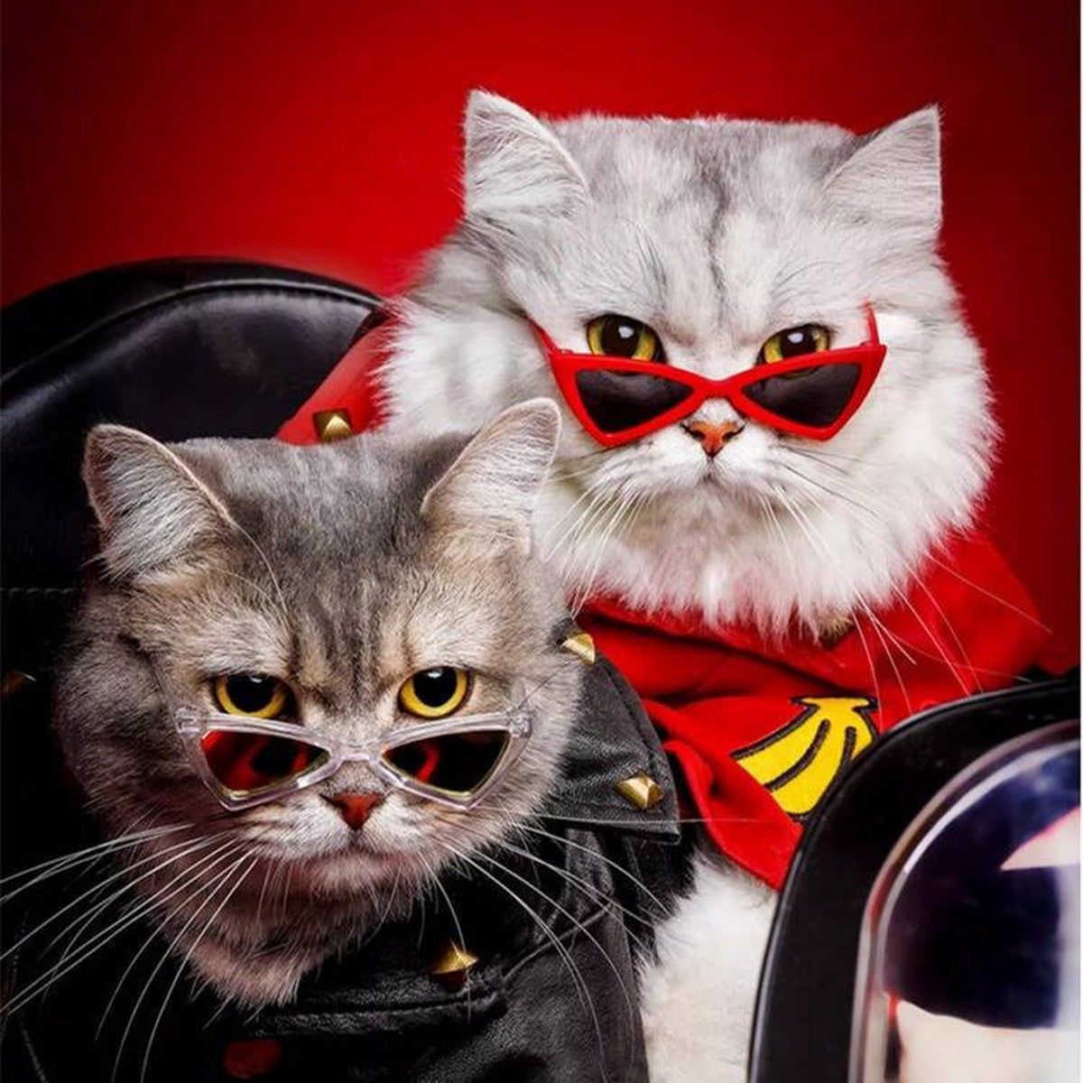 Adorable Pet Glasses – Funny Photo Prop Gift_CWMM11283