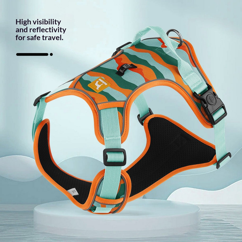 Printed Dog Harness and Leash for Active Dogs_CWMM12509
