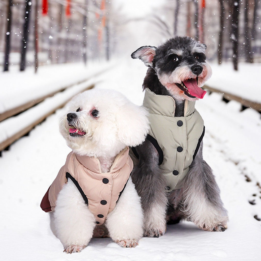 Winter Windproof Dog Coat for Outdoor Wear_CWMM12404