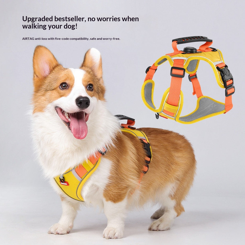 Dog Harness and Leash Set with Tracker Holder_CWMM12486