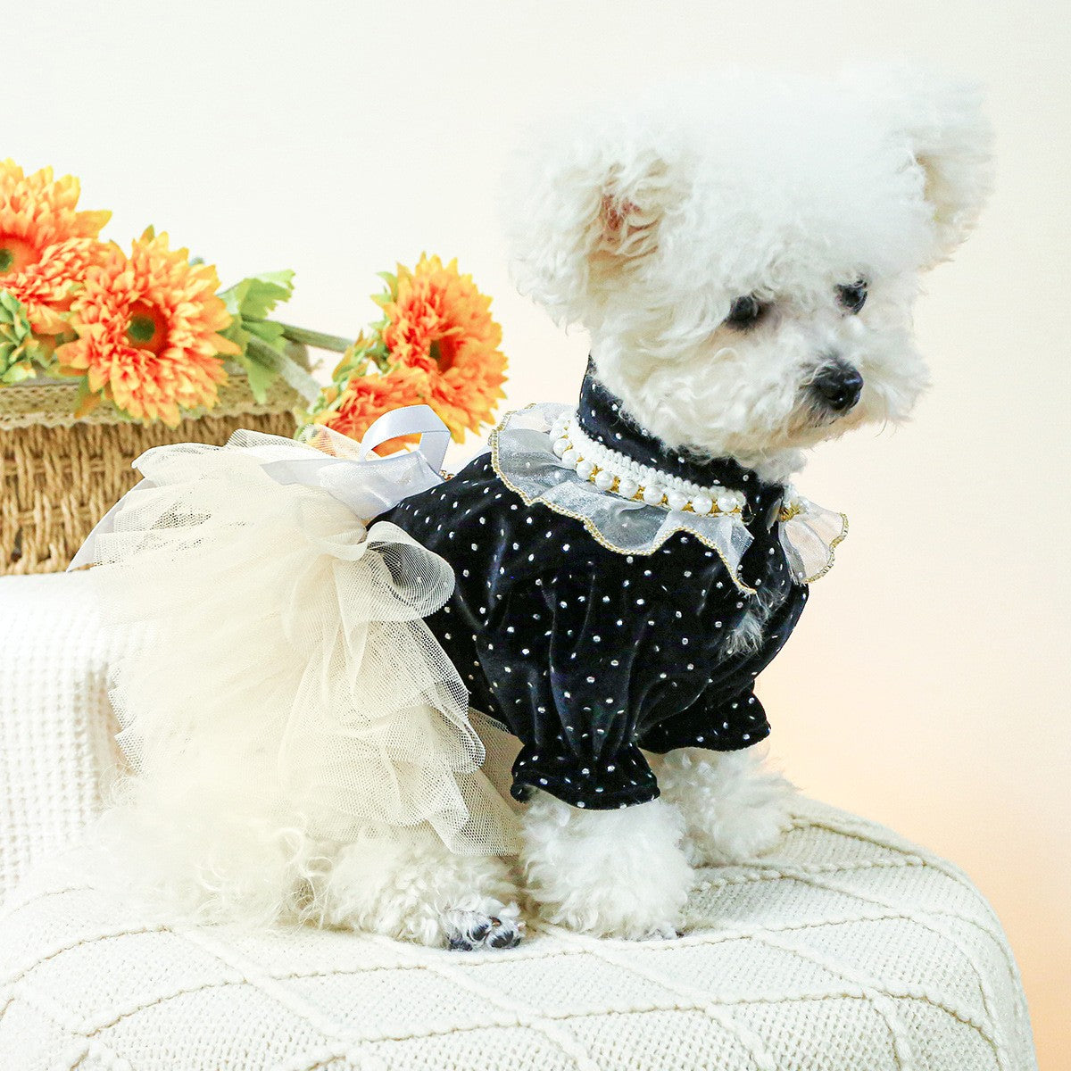 Cute Pet Princess Dress Tulle Lace Skirt_CWMM13013
