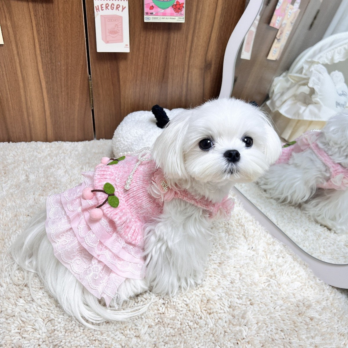 Cute Princess Dress for Dogs and Cats_CWMM12304