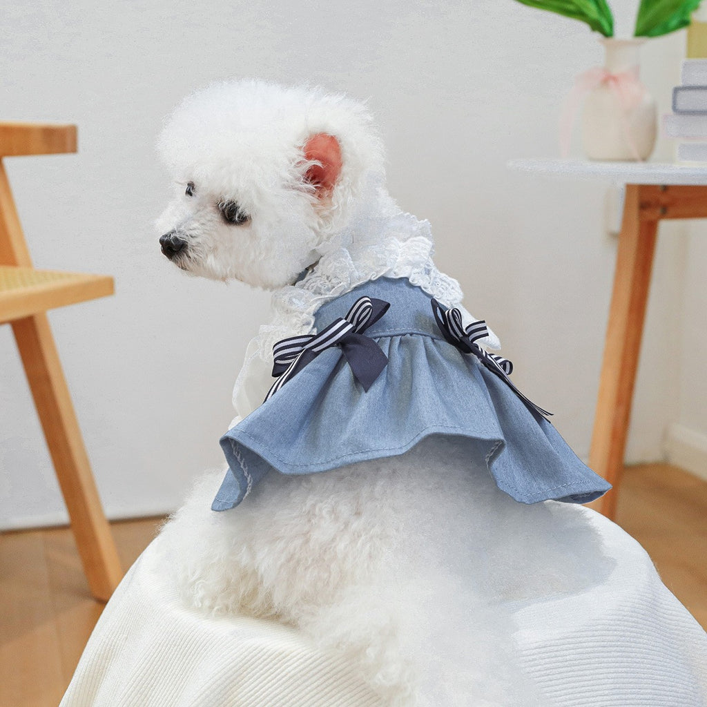 Pet Cozy Denim Dress Summer Beach Skirt_CWMM13045