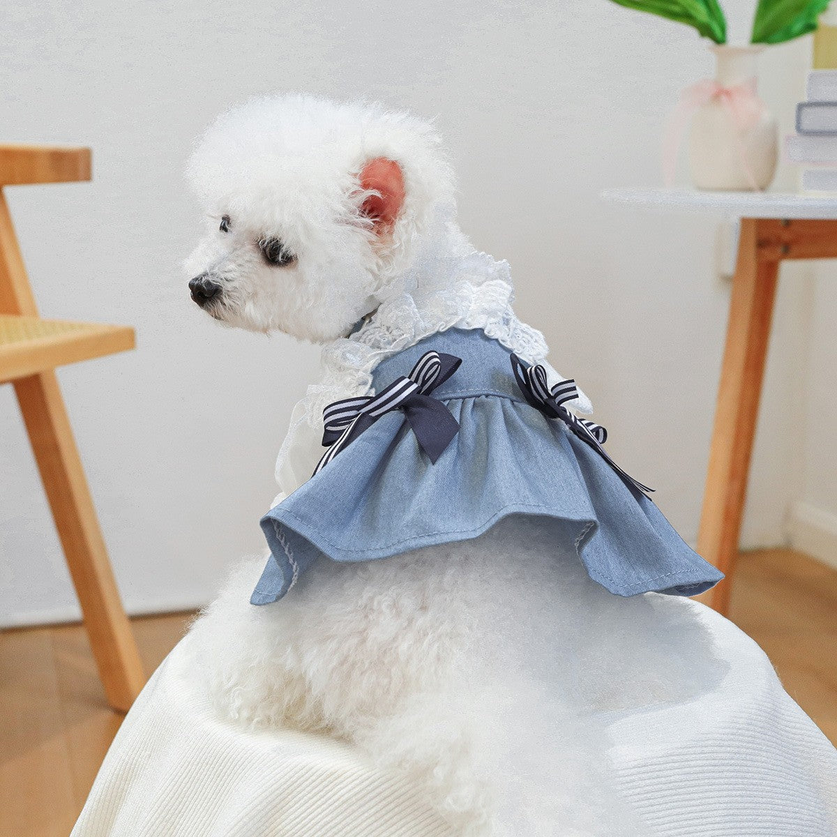 Pet Cozy Denim Dress Summer Beach Skirt_CWMM13045