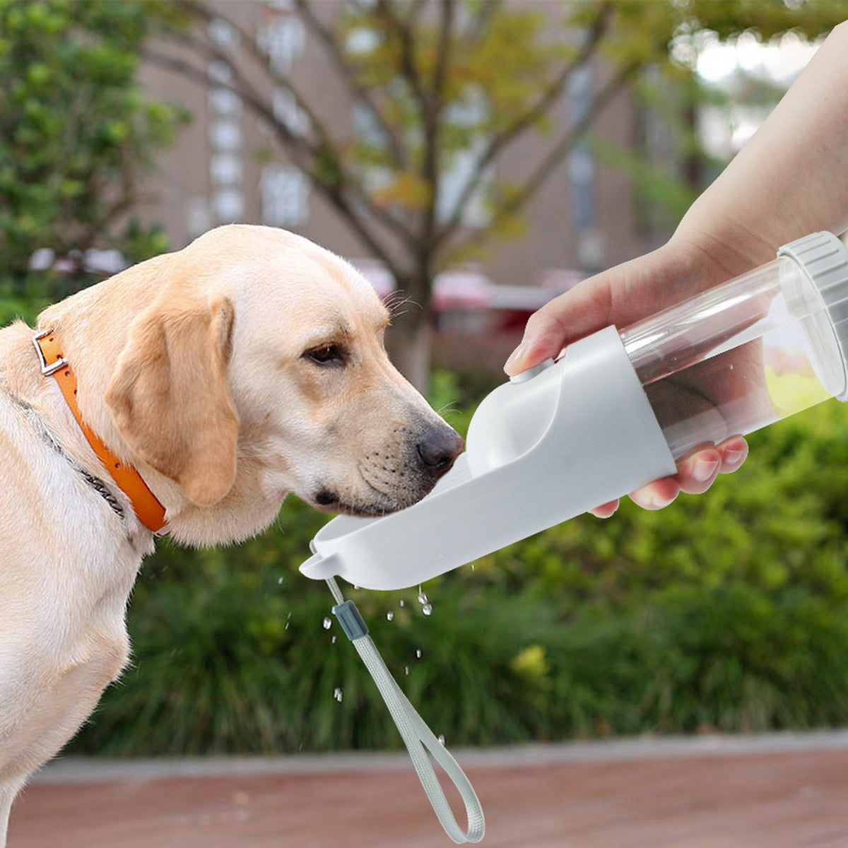 Collapsible Pet Travel Water Cup for Dogs_CWMM12694