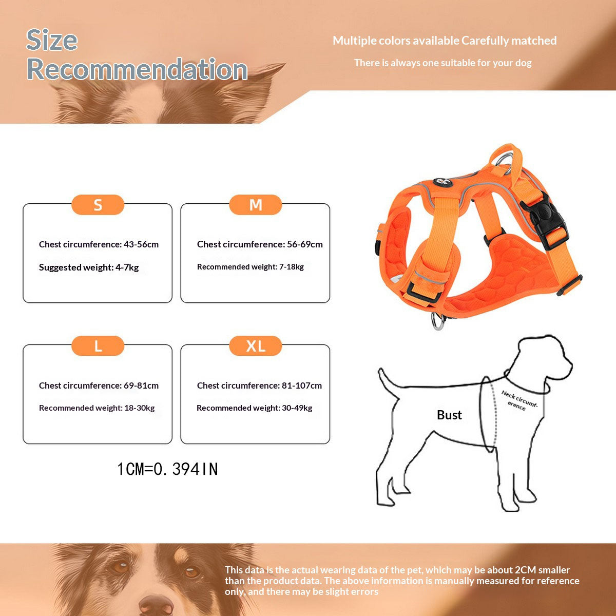 Comfort Fit Dog Harness with Reflective Trim_CWMM12553