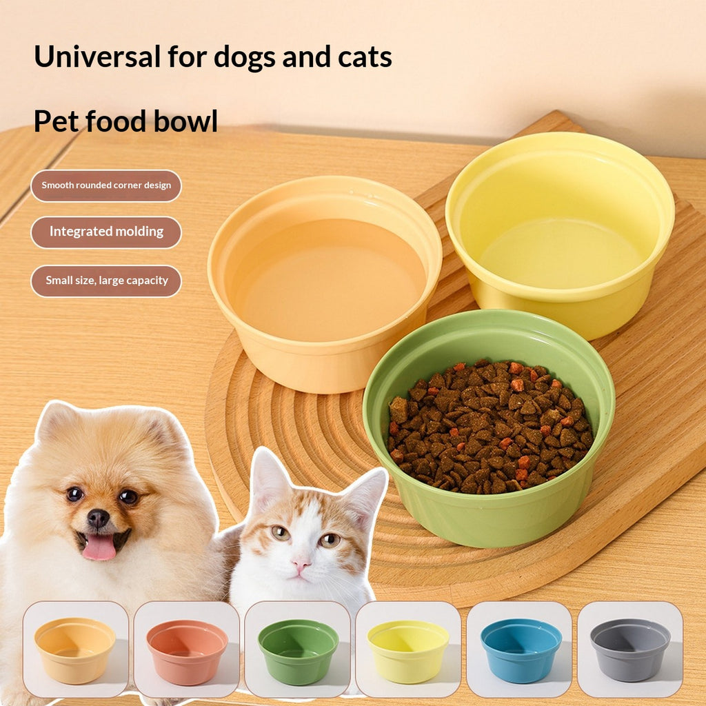 Plastic Pet Bowl for Food, Water and Drinking_CWMM13007