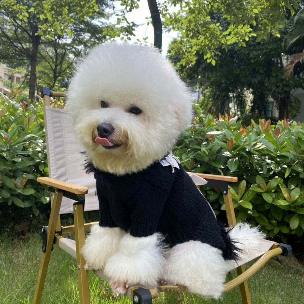 Winter Turtleneck Knit Dog Cat Sweater_CWMM12377