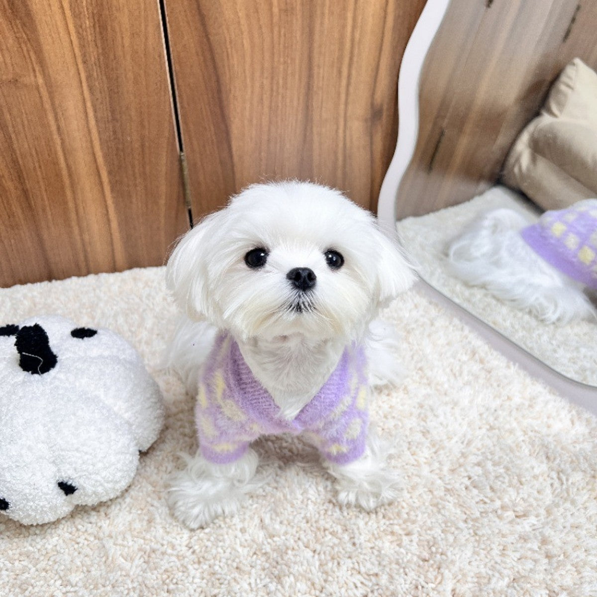 Purple Gradient Knit Dog Cat Sweater_CWMM12350