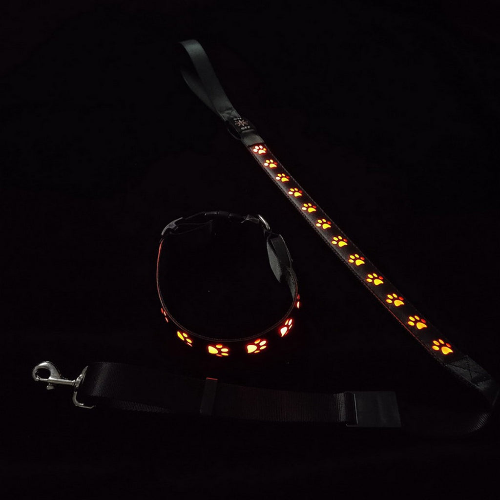 LED Paw Dog Collar USB Rechargeable Safety_CWMM11454