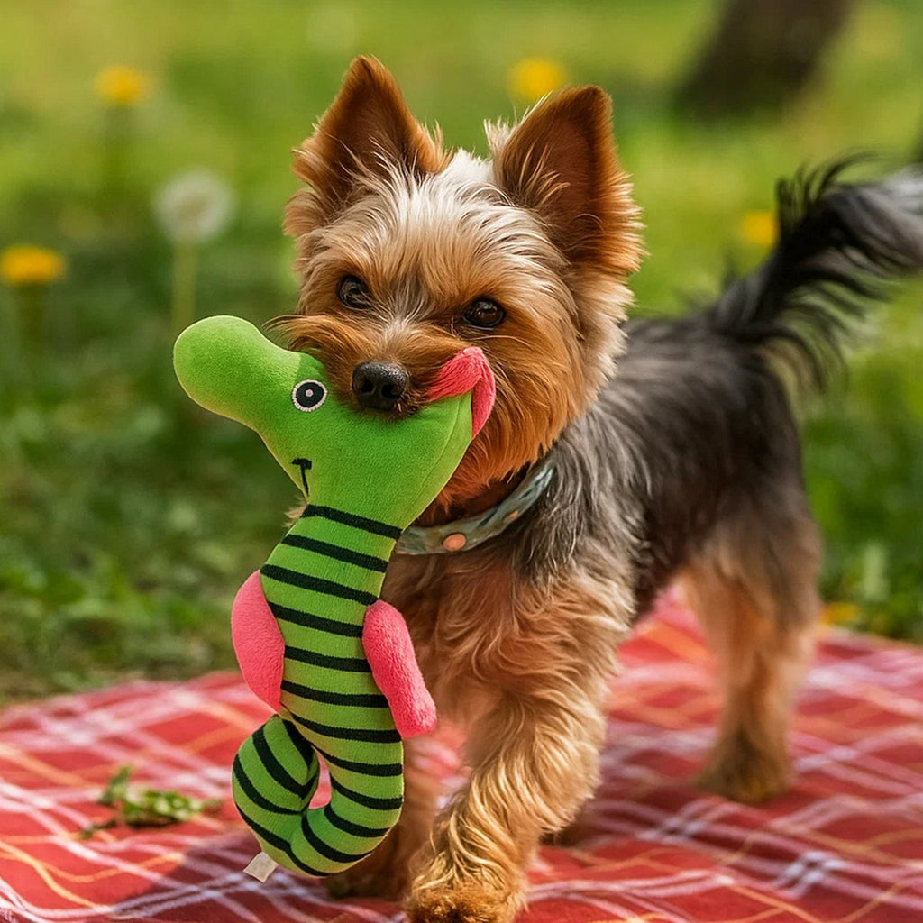 Squeaky Seahorse Toy for Cats & Dogs_CWMM13300