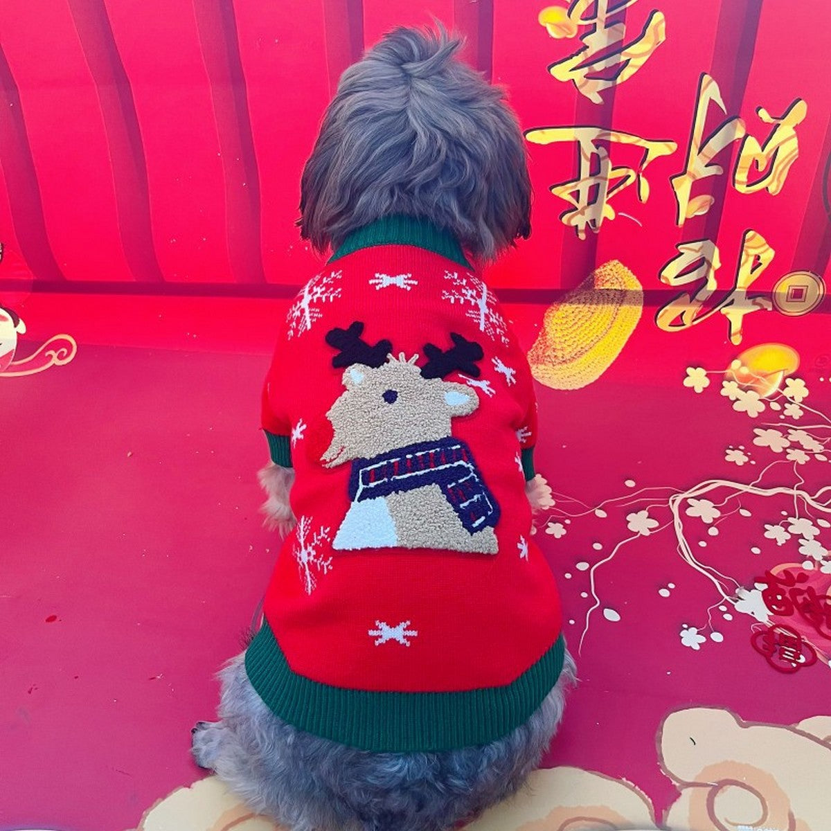 Warm Wool Dog Cat Sweater for Winter_CWMM12351