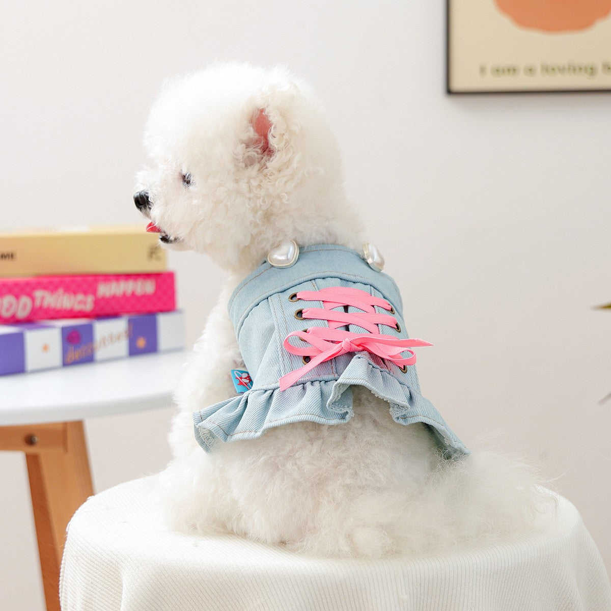 Pet Cozy Denim Dress Cute Heart Skirt_CWMM13012