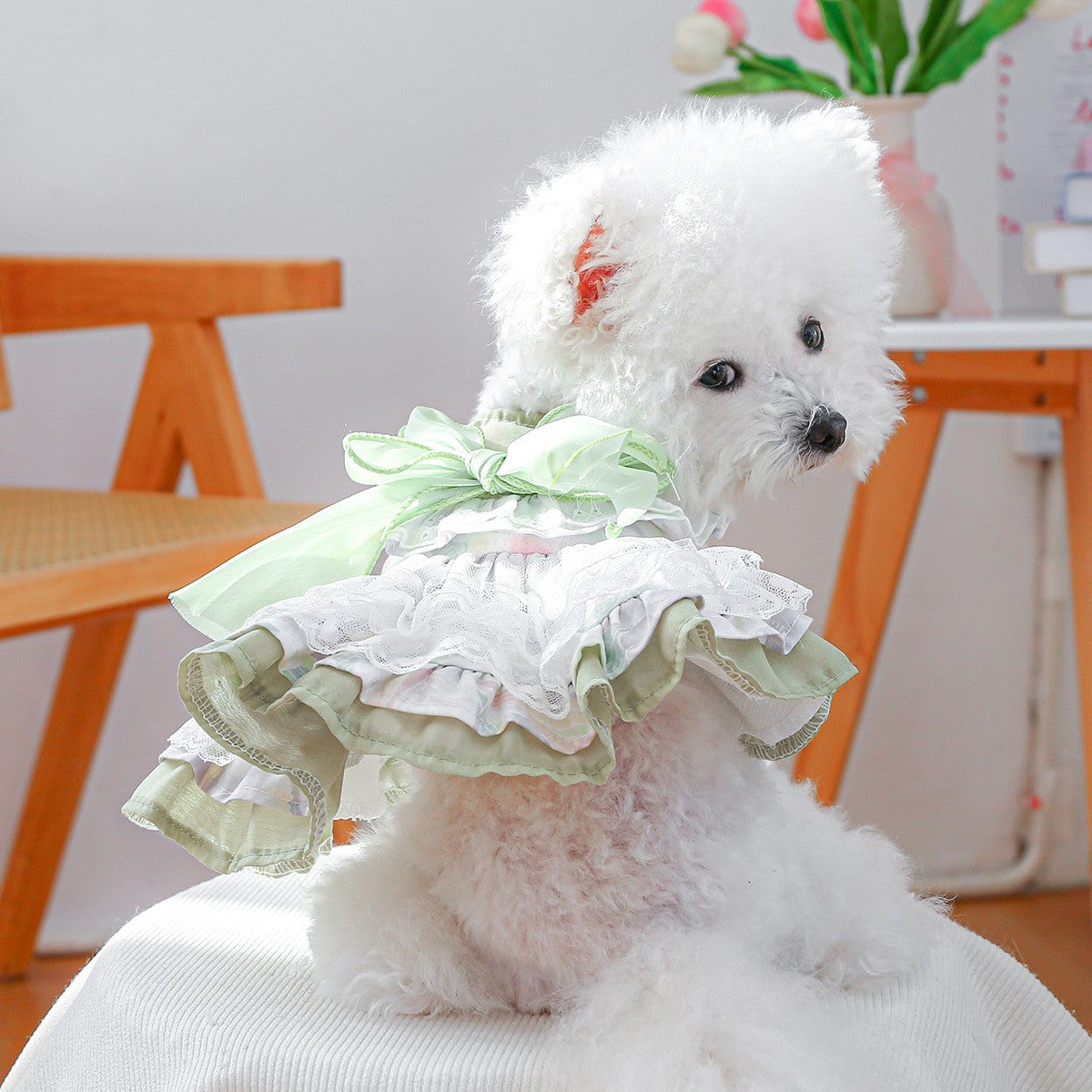 Small Pet Green Fantasy Tulle Dress_CWMM13115
